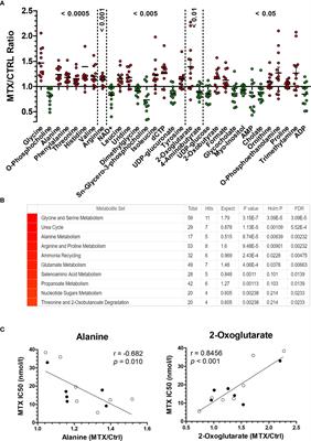 Glutathione levels are associated with methotrexate resistance in acute lymphoblastic leukemia cell lines
